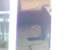 Port redtube darmowe filmiki